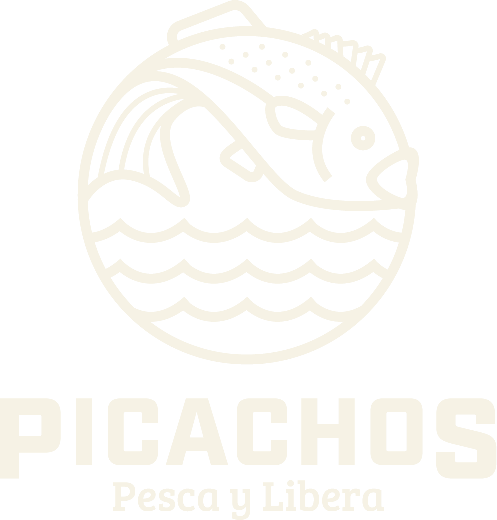 Presa Picachos